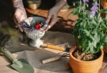 digital tools for business growth