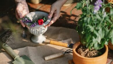 digital tools for business growth