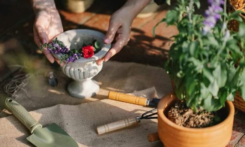 digital tools for business growth