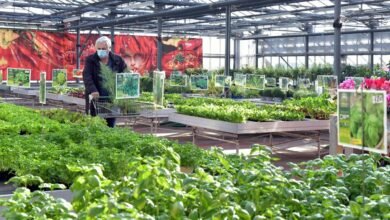 sustainable growth in e commerce