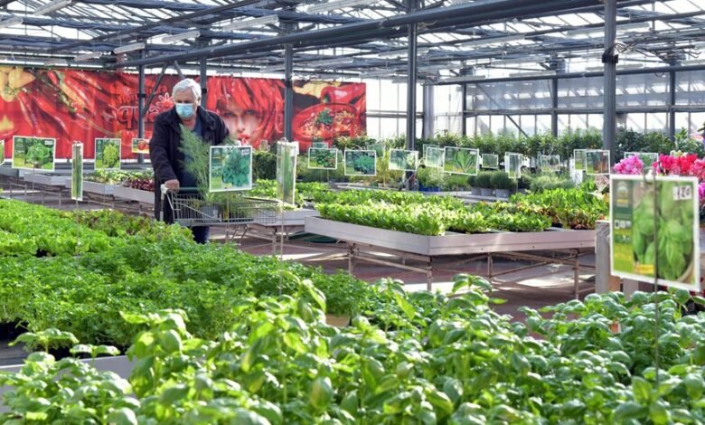 sustainable growth in e commerce
