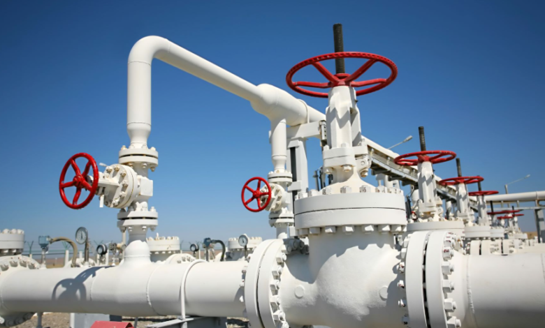 Understanding the Function and Importance of Rupture Disk