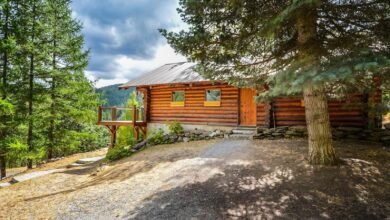 From Material to Masterpiece: How Timber Construction Is Redefining Modern Projects